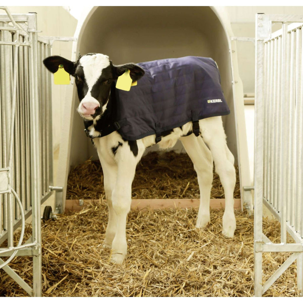 Kerbl Manta para Terneros EasyWear