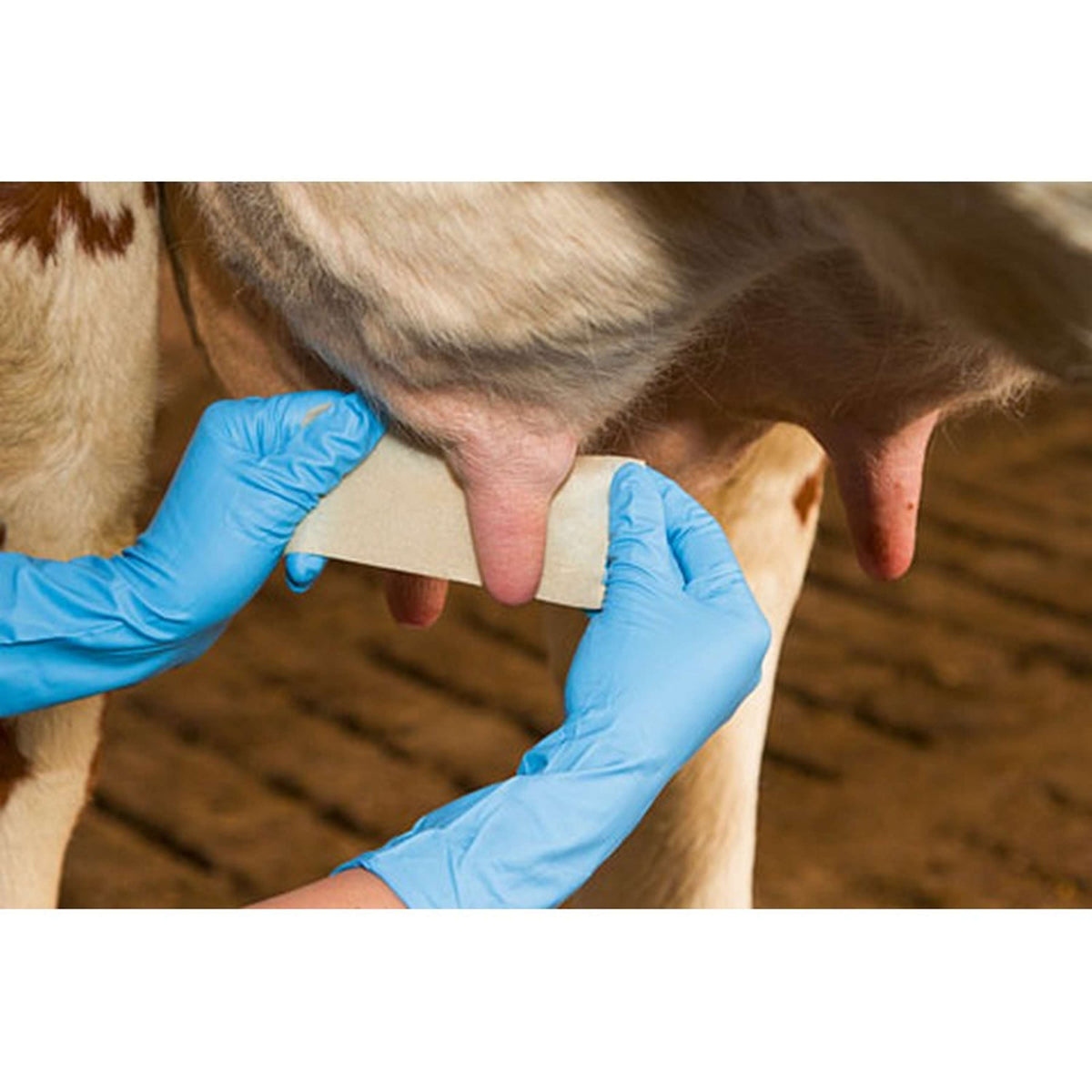 Kerbl Vendaje para pezones Udderosoft