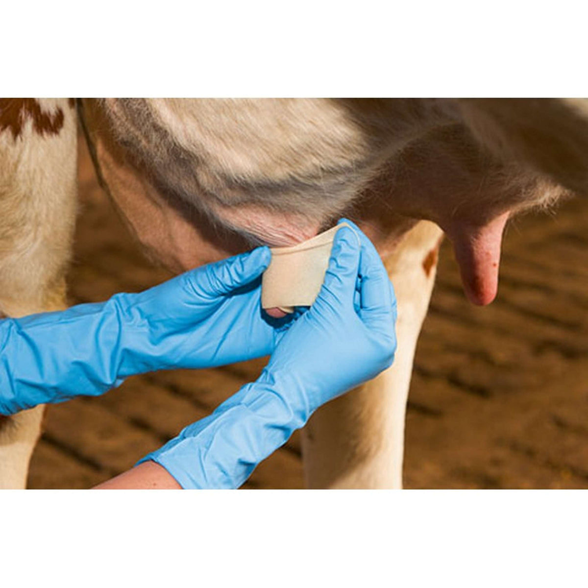 Kerbl Vendaje para pezones Udderosoft