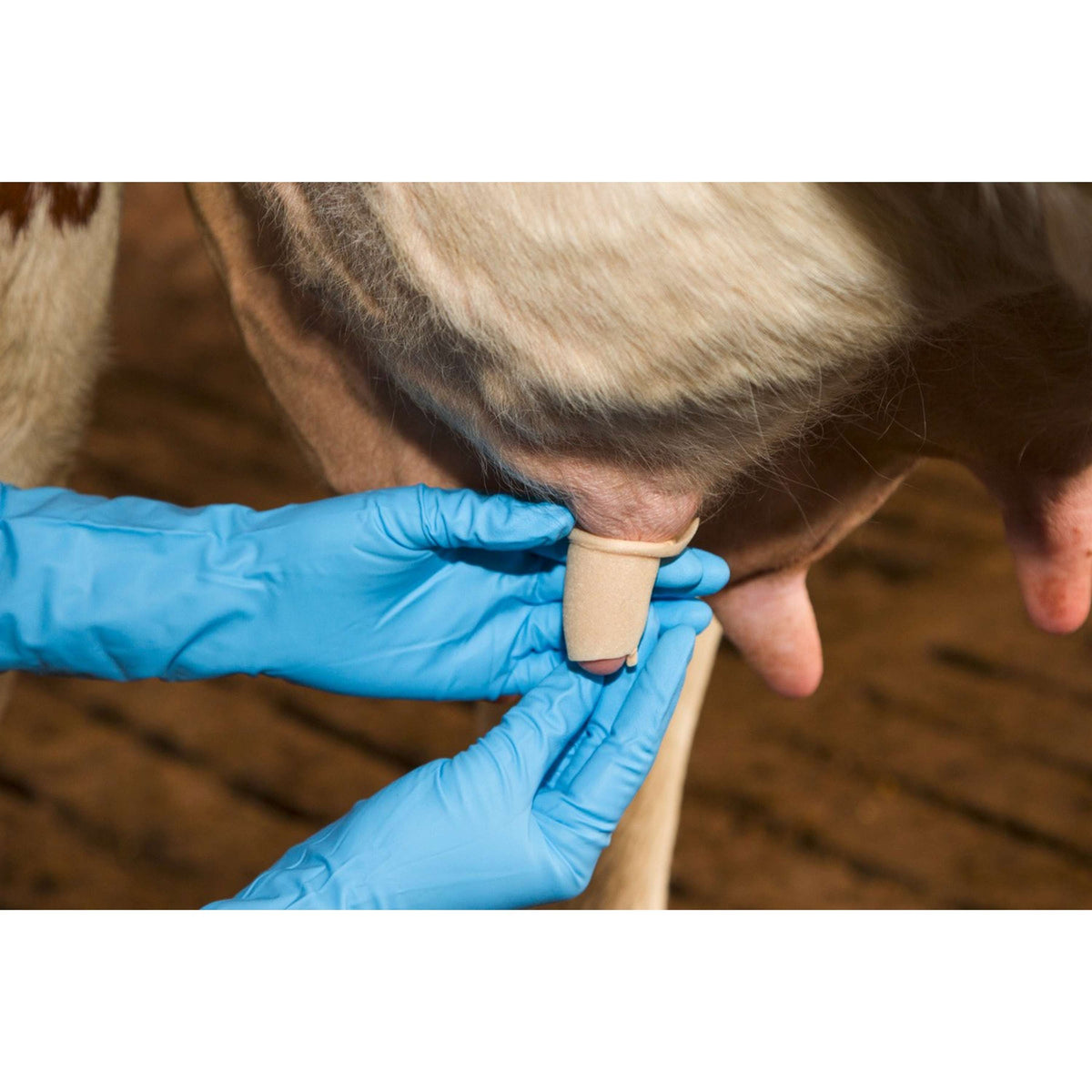 Kerbl Vendaje para pezones Udderosoft