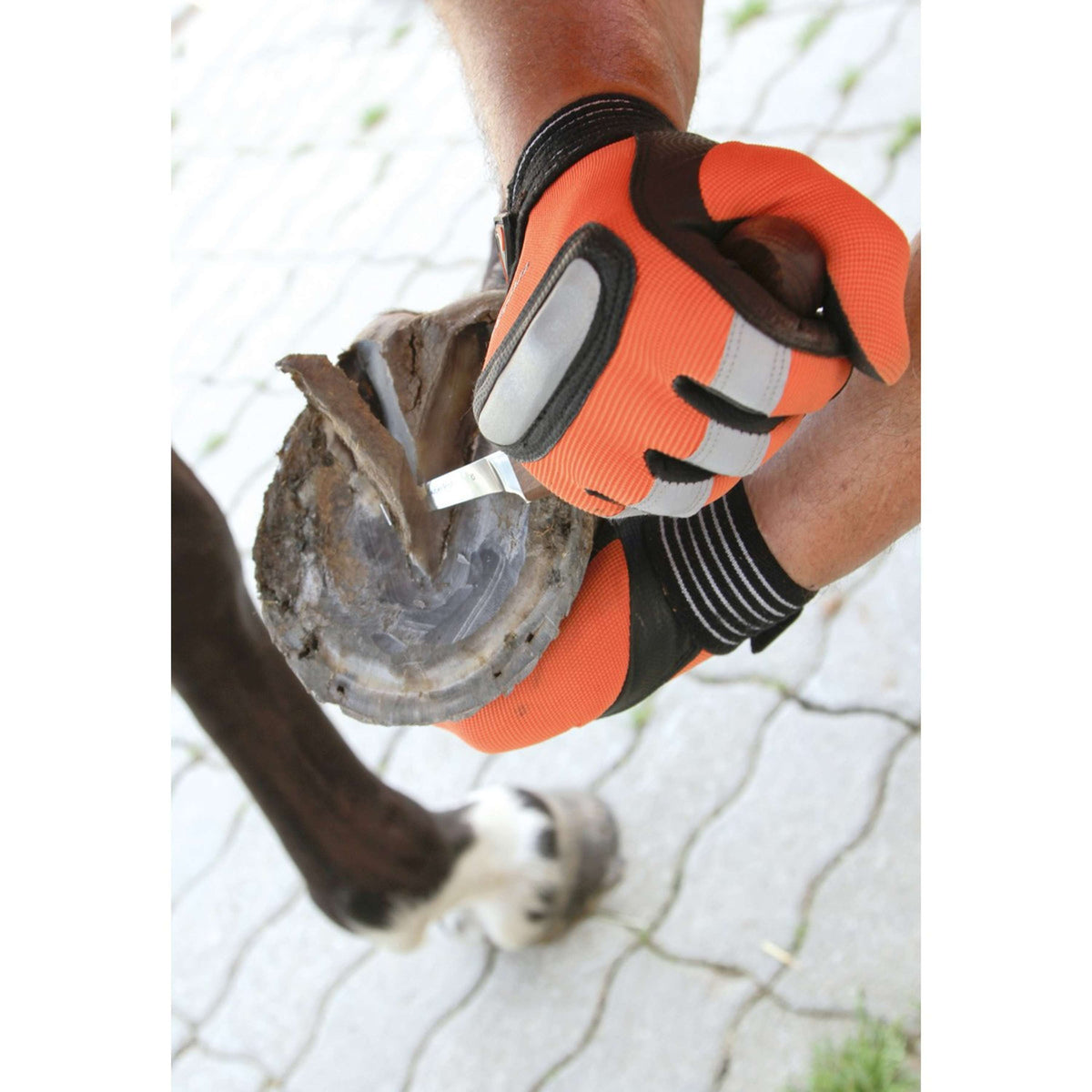 Kerbl Cuchillo para Cascos y Pezuñas Superprofi Derecha