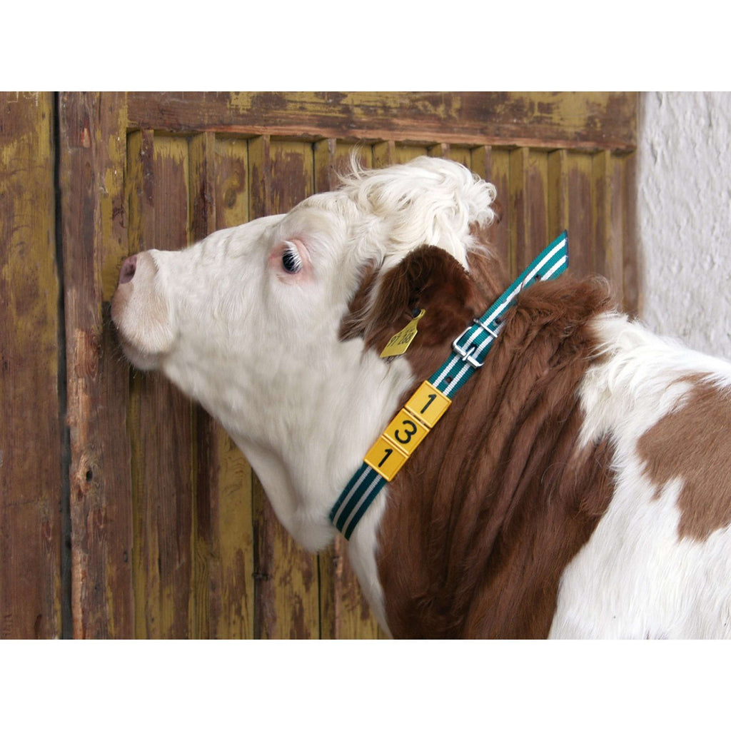 Kerbl Banda de Marcaje para el Cuello Verde Blanco