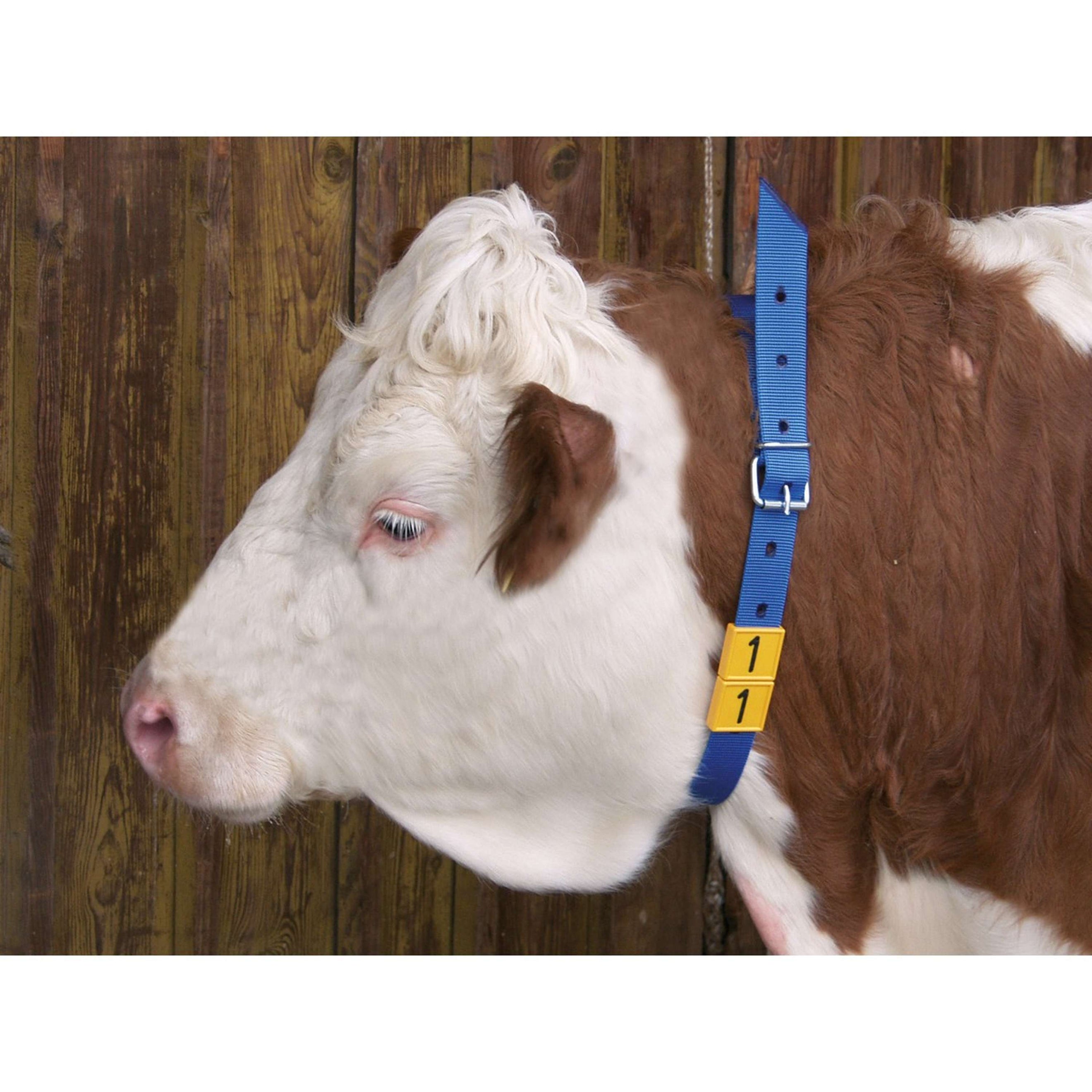 Kerbl Banda de Marcaje para el Cuello Azul Kerbl Banda de Marcaje para el Cuello Azul