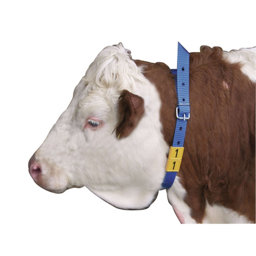 Kerbl Banda de Marcaje para el Cuello Azul