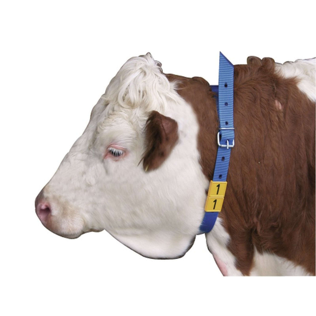 Kerbl Banda de Marcaje para el Cuello Azul