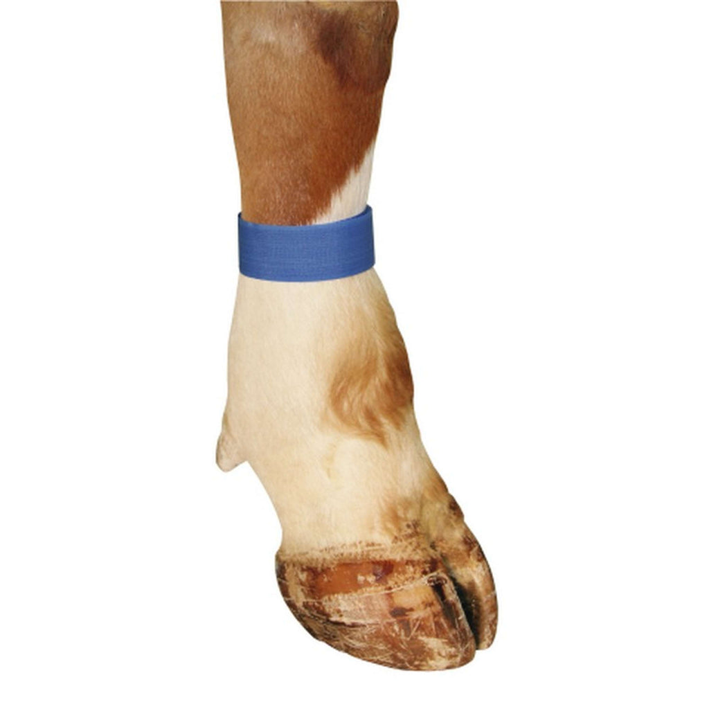 Kerbl Cinta de Marcado Azul
