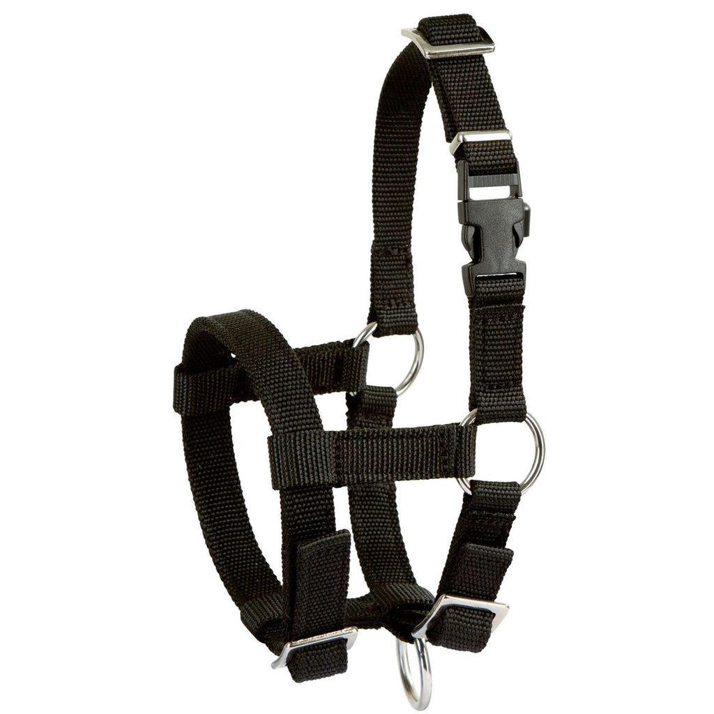 Kerbl Cabezada para Alpaca Ajustable con Hebillas Negro