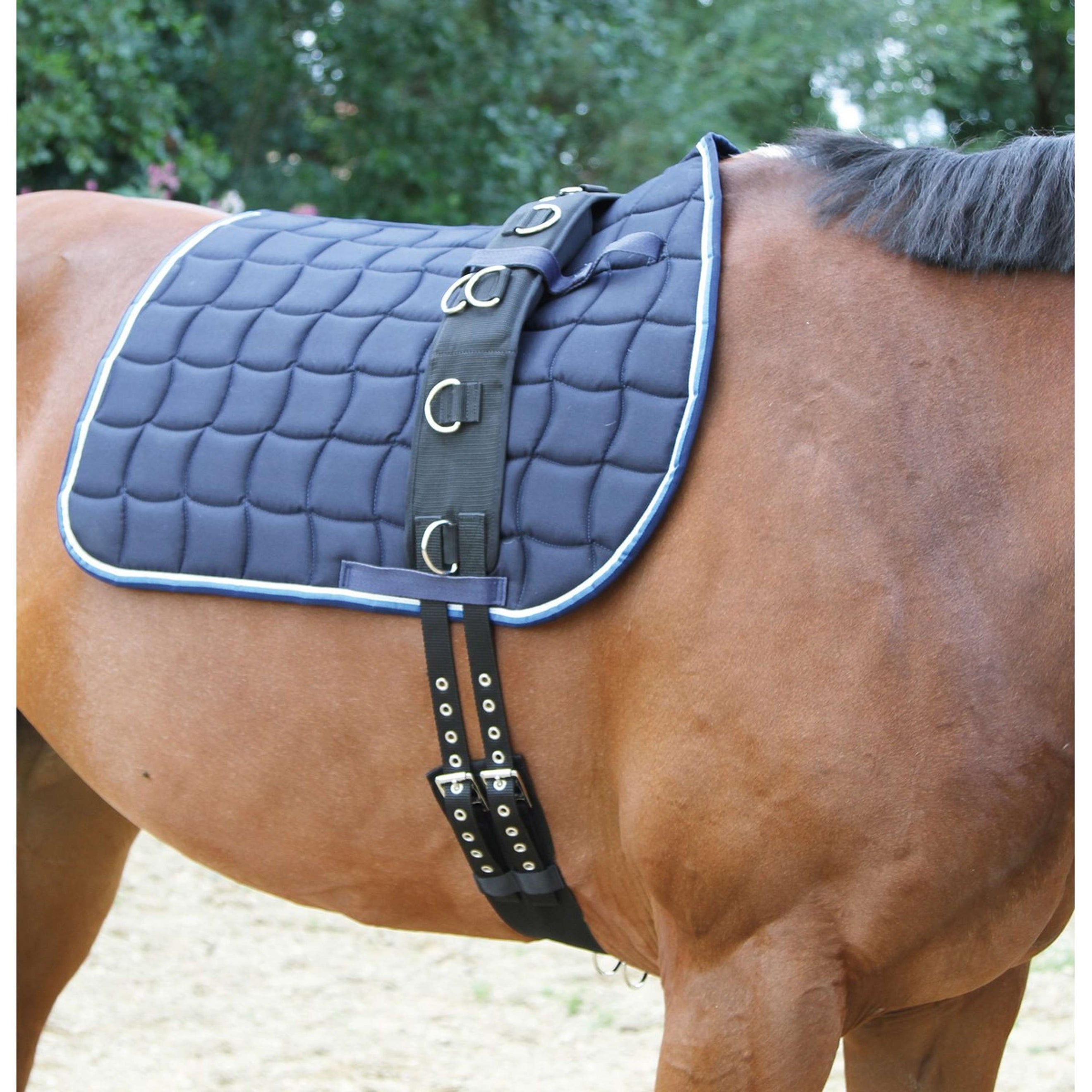 Kerbl Cinchuelo de Trabajo Eurohorse con 9 Anillas Ajustable Negro Kerbl Cinchuelo de Trabajo Eurohorse con 9 Anillas Ajustable Negro