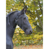 Kerbl Collar para Caballos Negro
