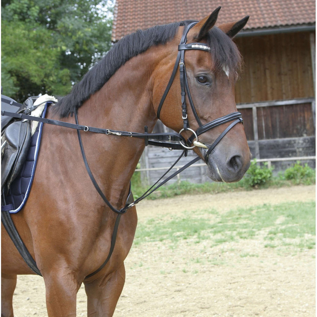 Kerbl Riendas Thiedemann Negro