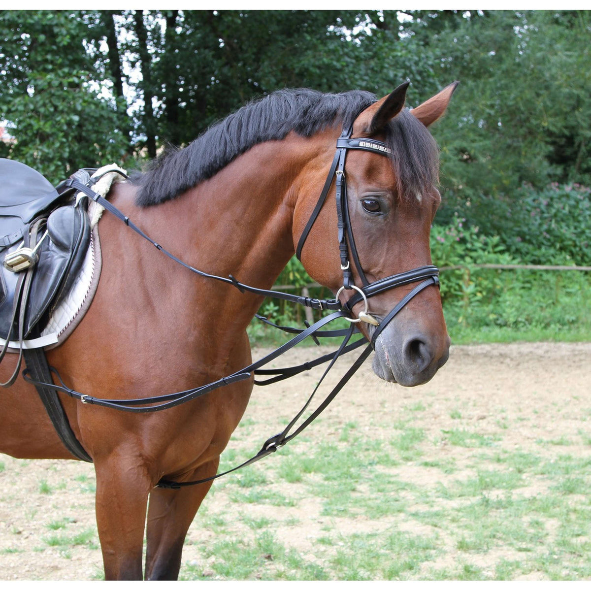 Kerbl Riendas Triángulo Negro