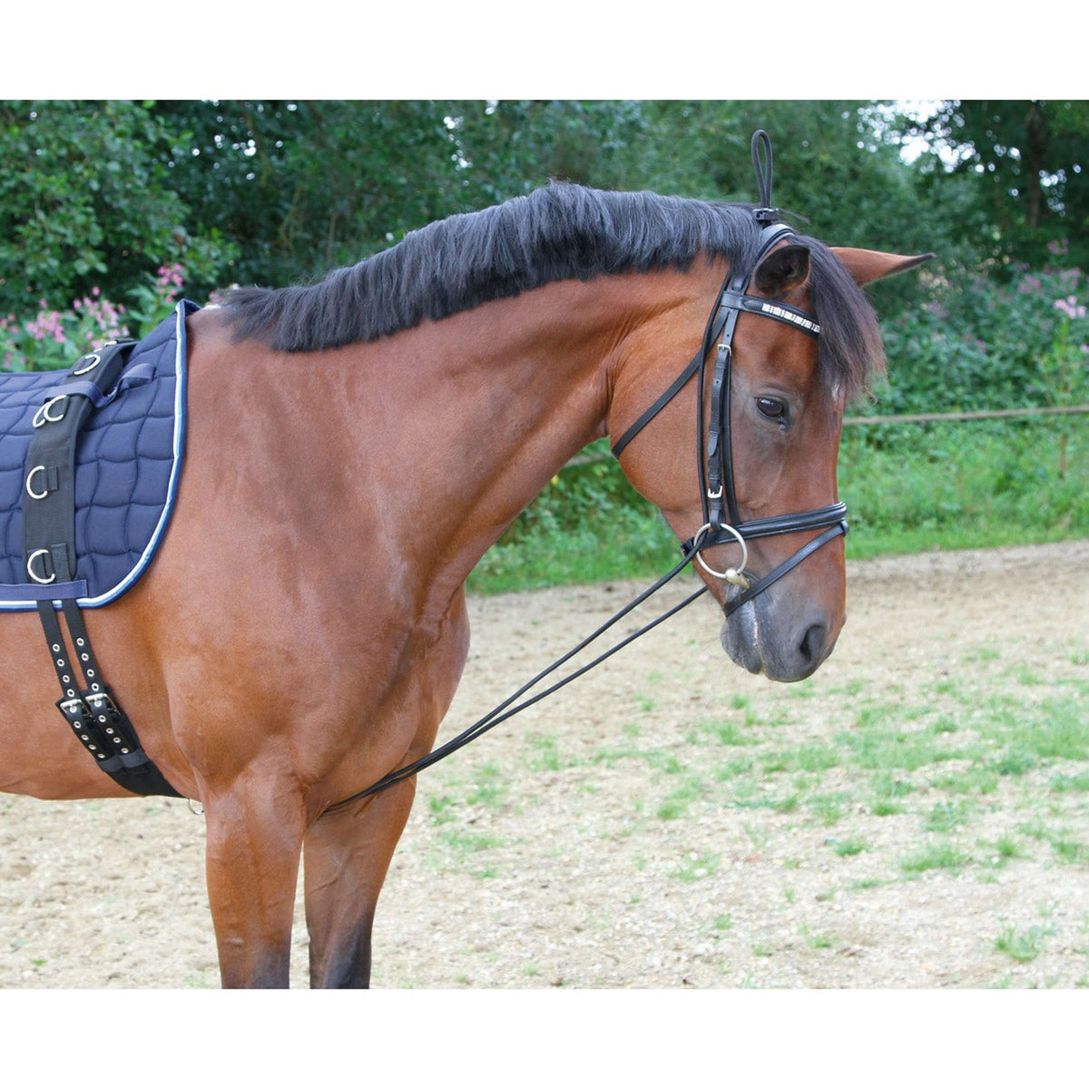 Kerbl Extensor de Cuello Negro