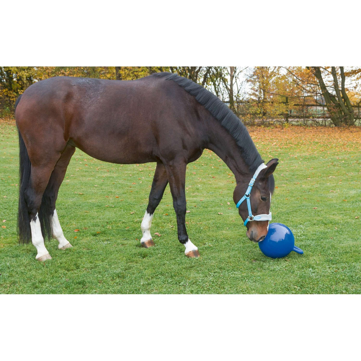 Kerbl Pelota de Juego para Caballos Azul