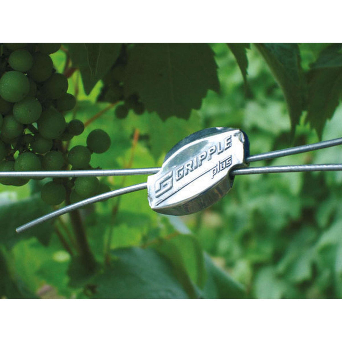 Ako Conector de cable Gripple 20st