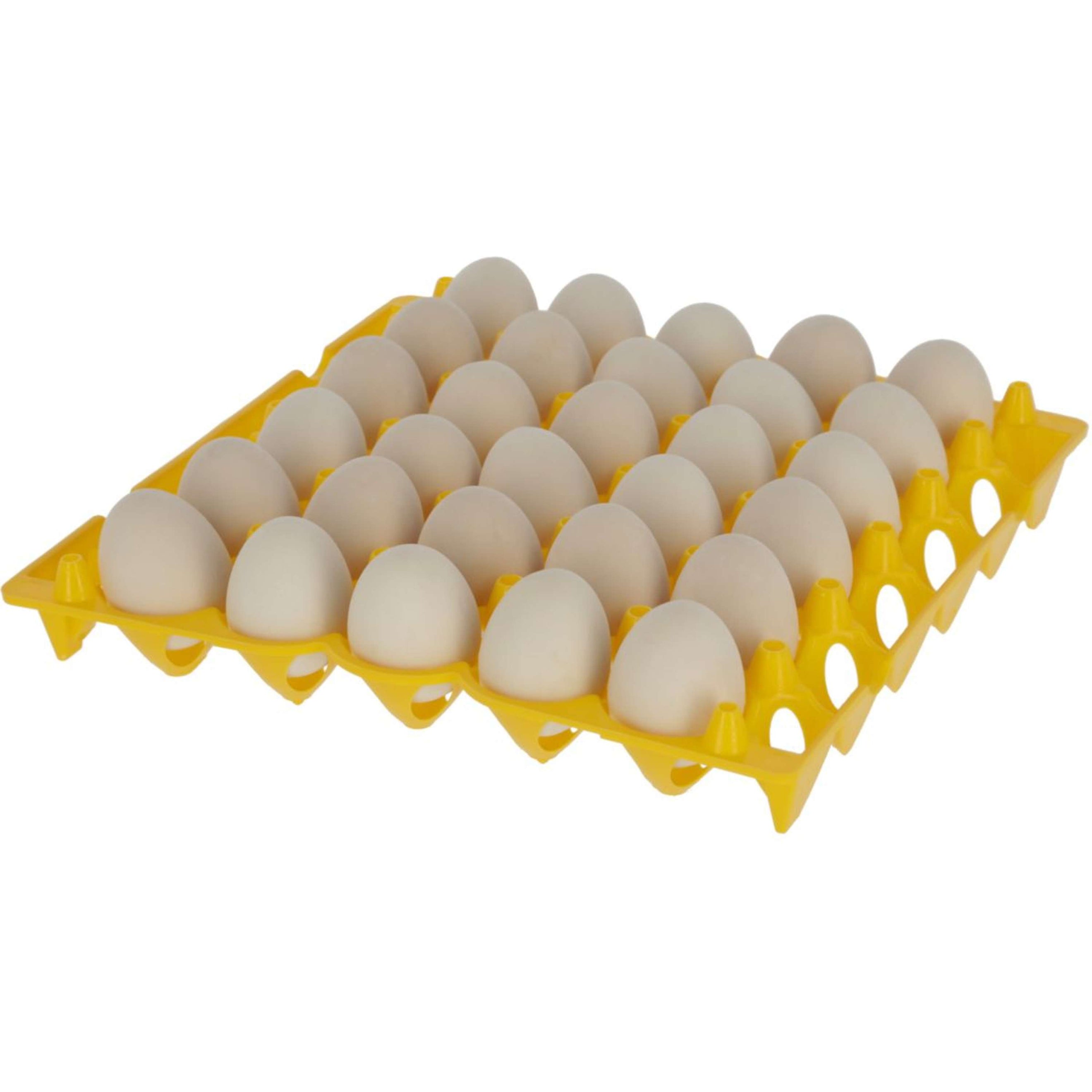Kerbl Porta huevos Español (ES): Plástico Kerbl Porta huevos Español (ES): Plástico