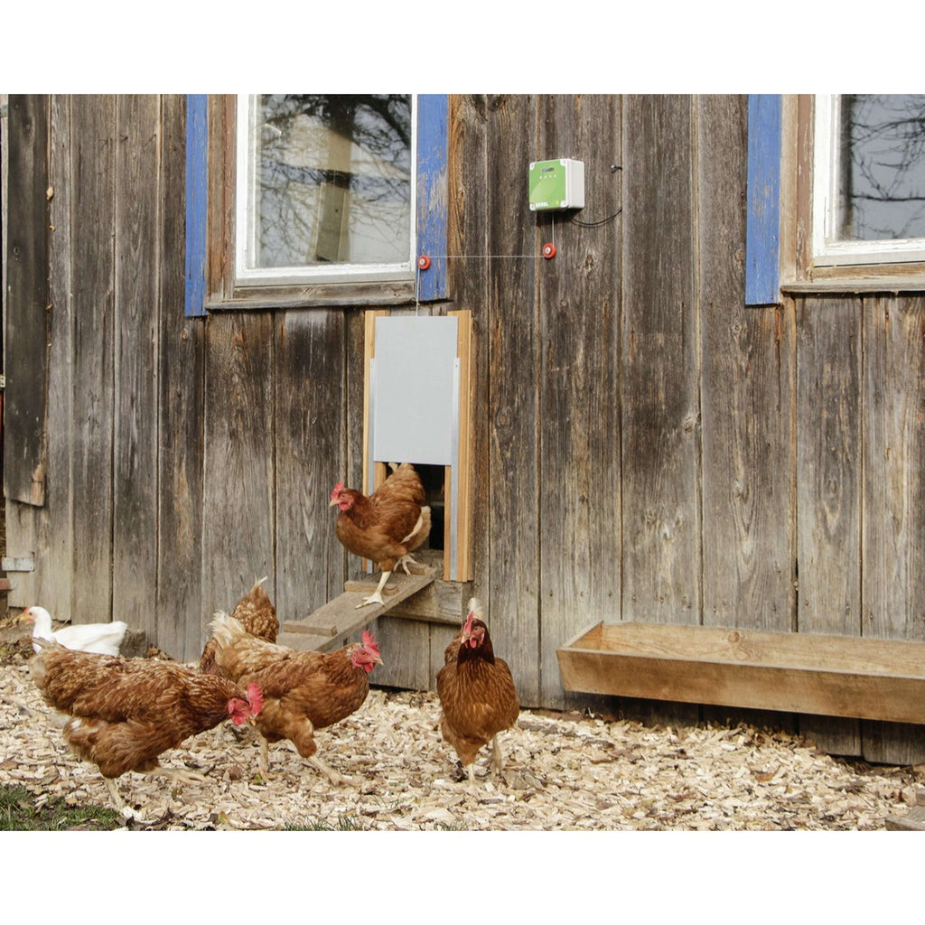 Kerbl Controlador para Puerta Automática de Gallinero Gris Verde