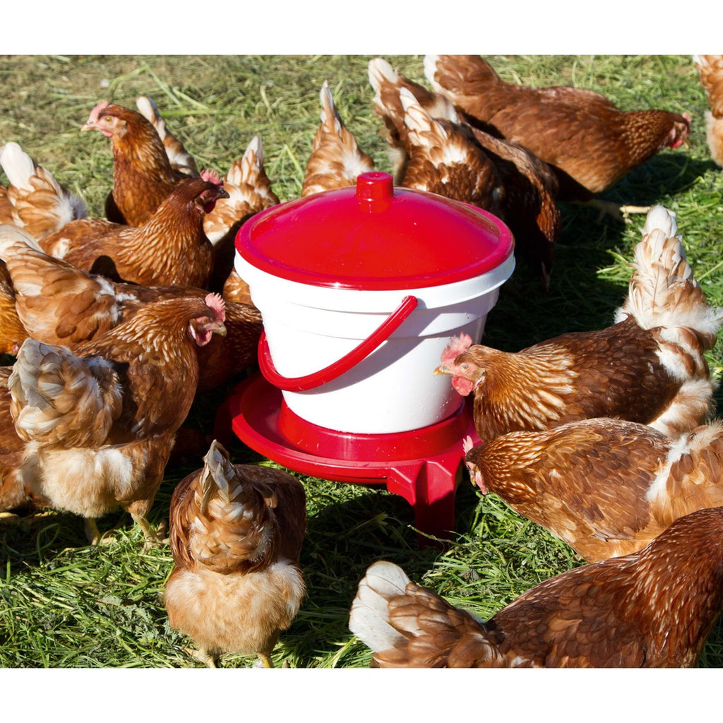 Kerbl Bebedero para Aves Redondo