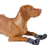 Kerbl Zapato para Perros Active Negro Gris