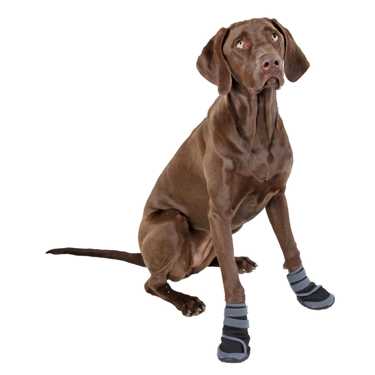 Kerbl Zapato para Perros Active Negro Gris