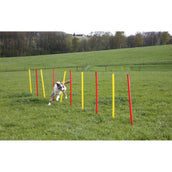 Kerbl Set Agilidad Completo 3 piezas Rojo<>Amarillo