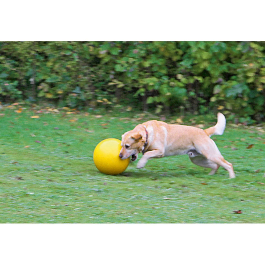 Kerbl Juguete para Perro Amarillo