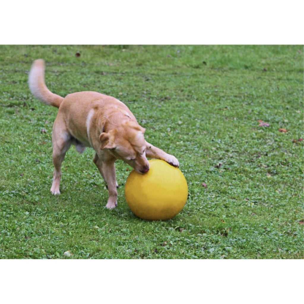 Kerbl Juguete para Perro Amarillo