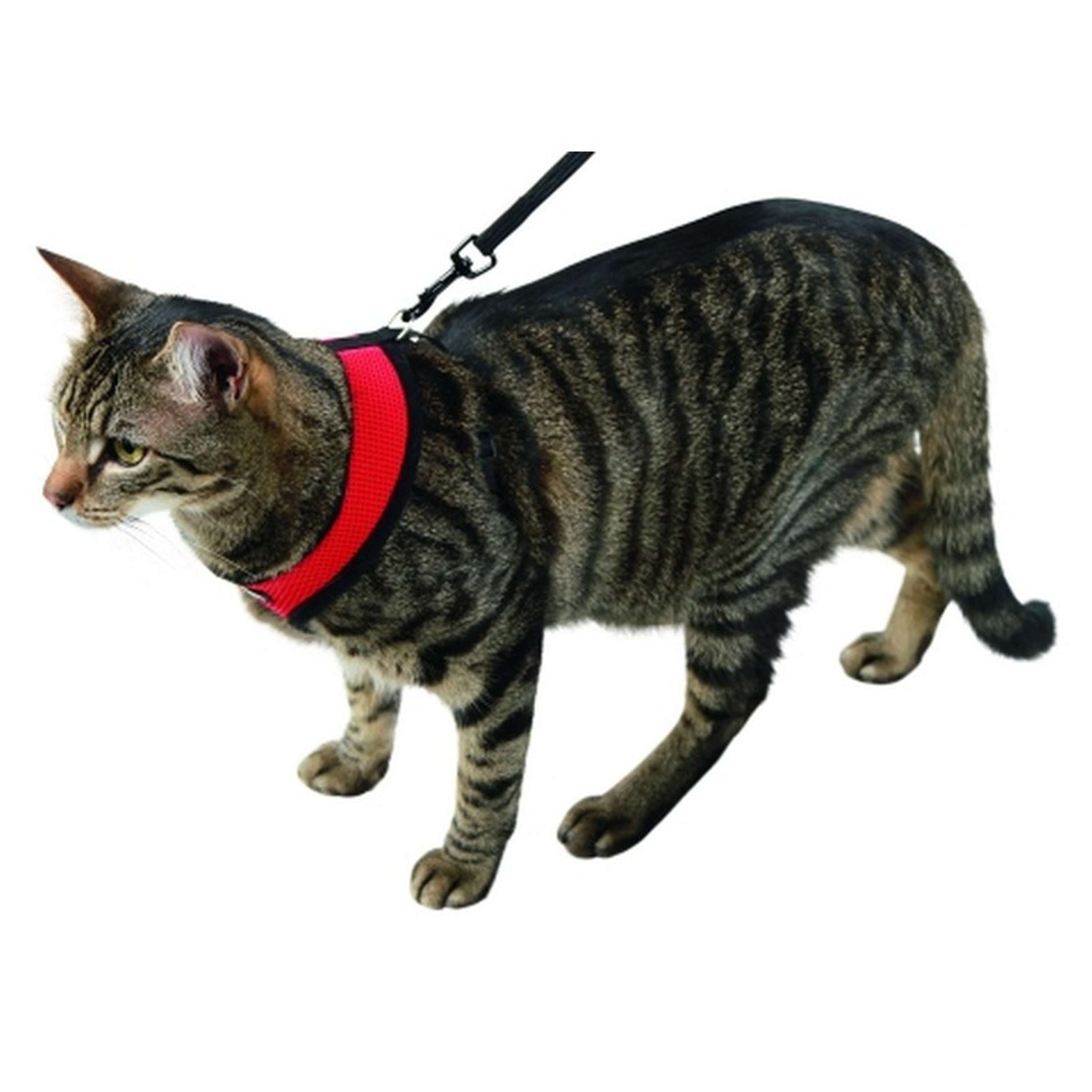 Kerbl Arnés para Gato Active Rojo Kerbl Arnés para Gato Active Rojo