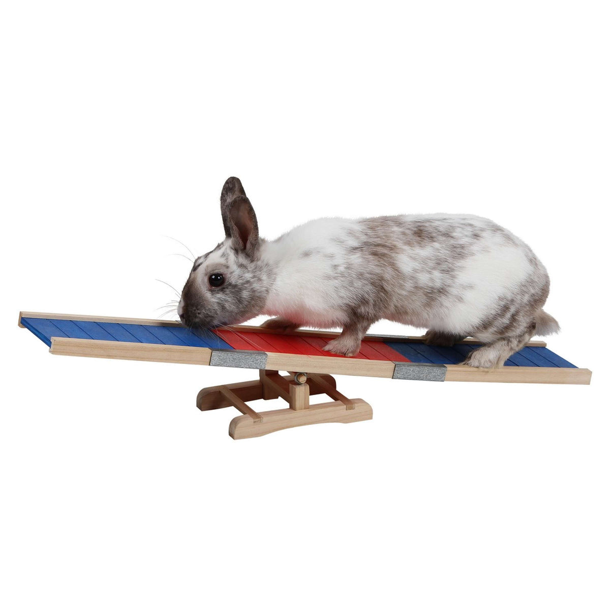 Kerbl Pasarela Agility