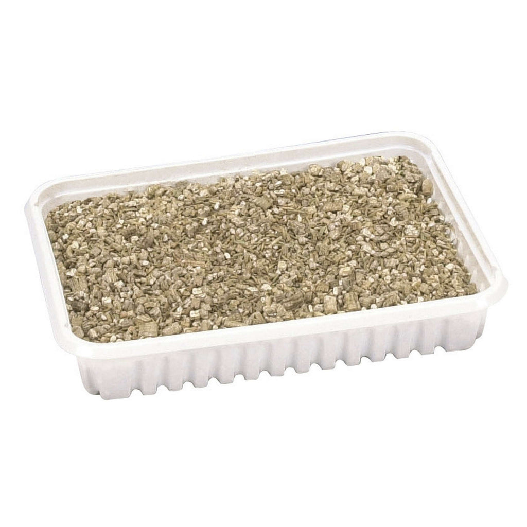Kerbl Hierba para Gatos Verde