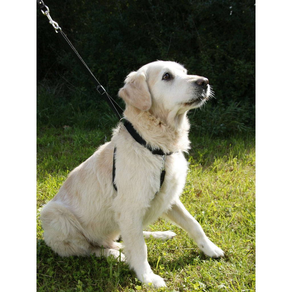 Kerbl Collar Antitirones Maxi Leader Negro