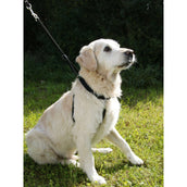 Kerbl Collar Antitirones Maxi Leader Negro