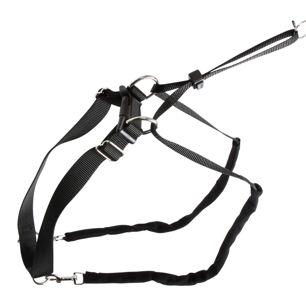 Kerbl Collar Antitirones Maxi Leader Negro