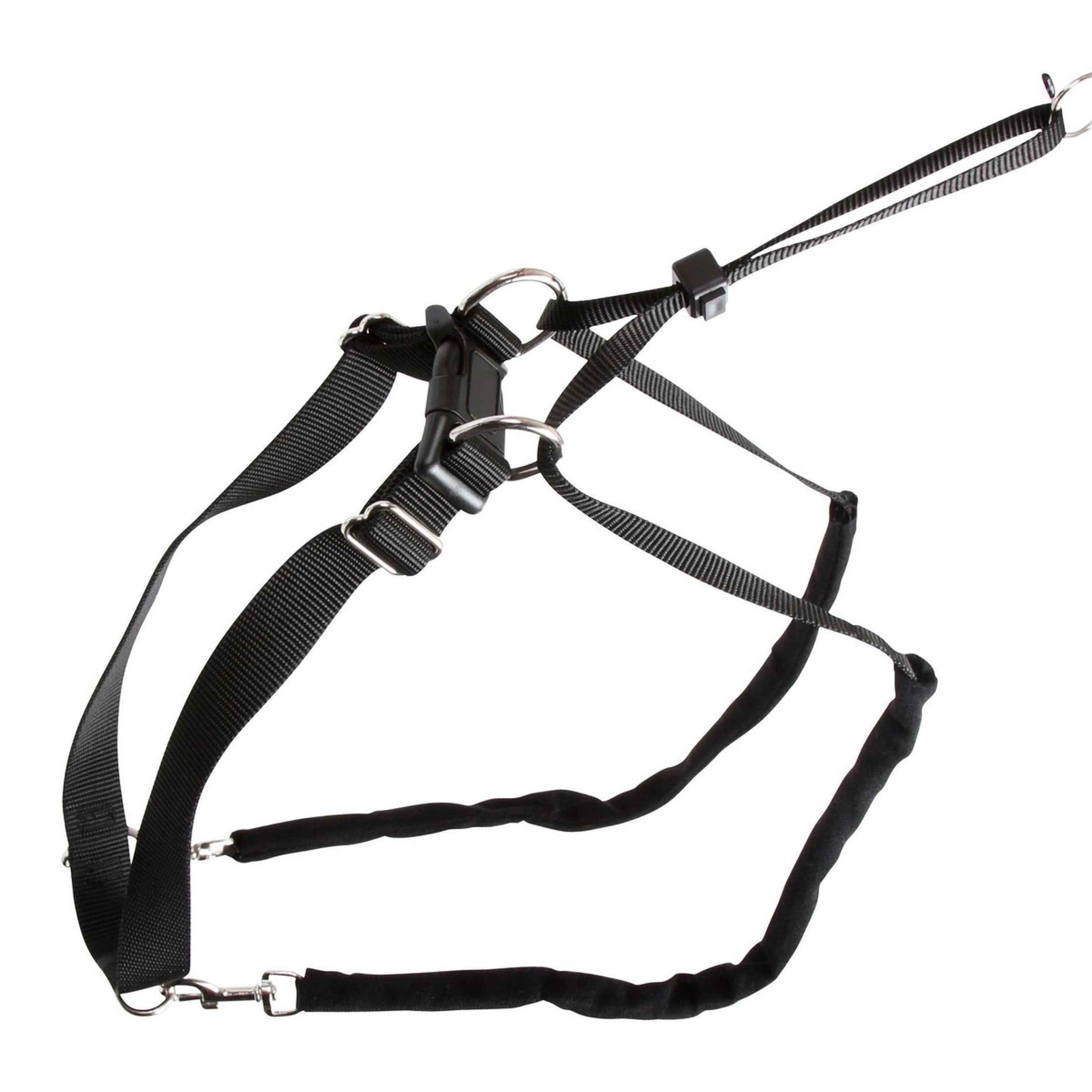 Kerbl Collar Antitirones Maxi Leader Negro