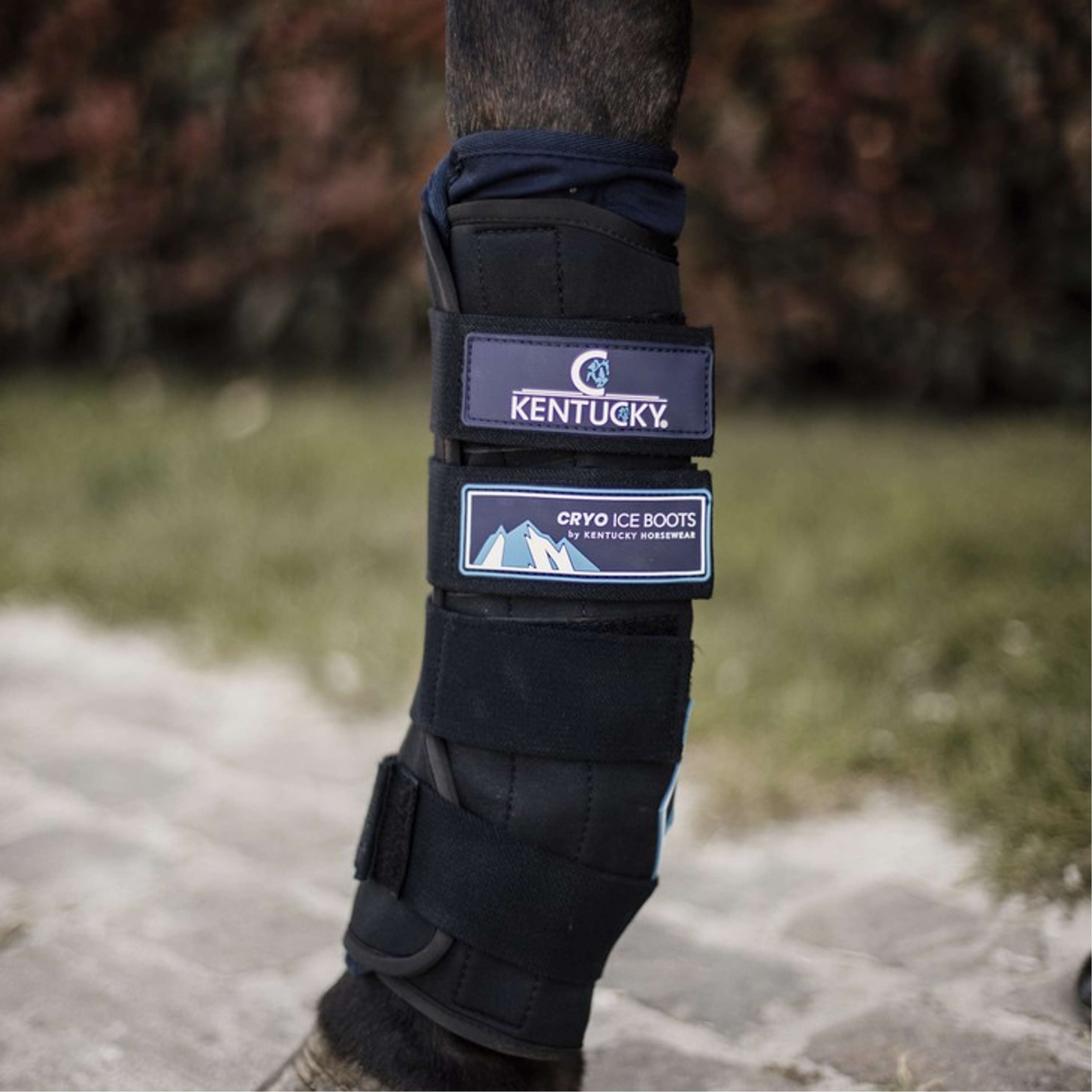 Kentucky Horsewear Ice Boots Cryo Negro