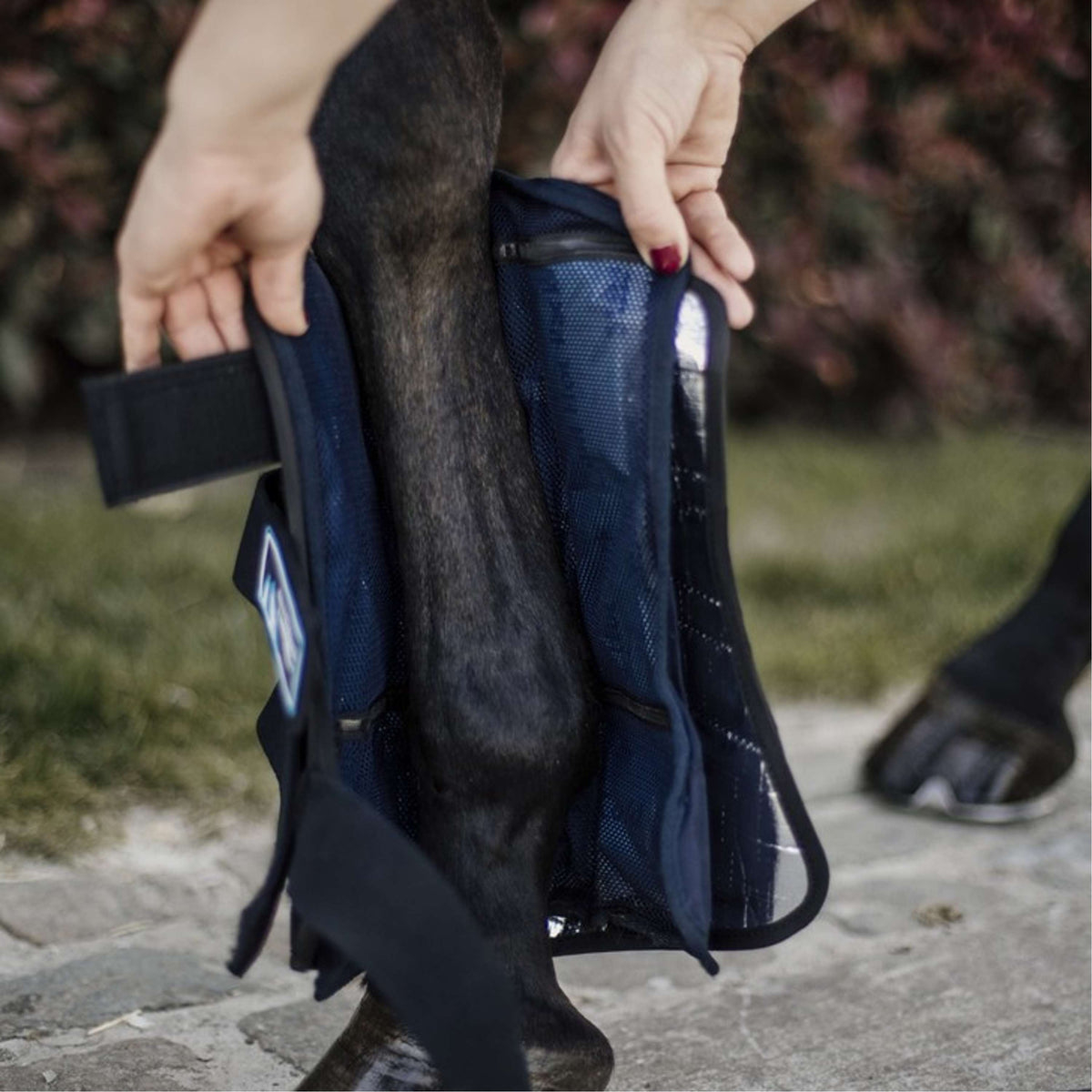 Kentucky Horsewear Ice Boots Cryo Negro