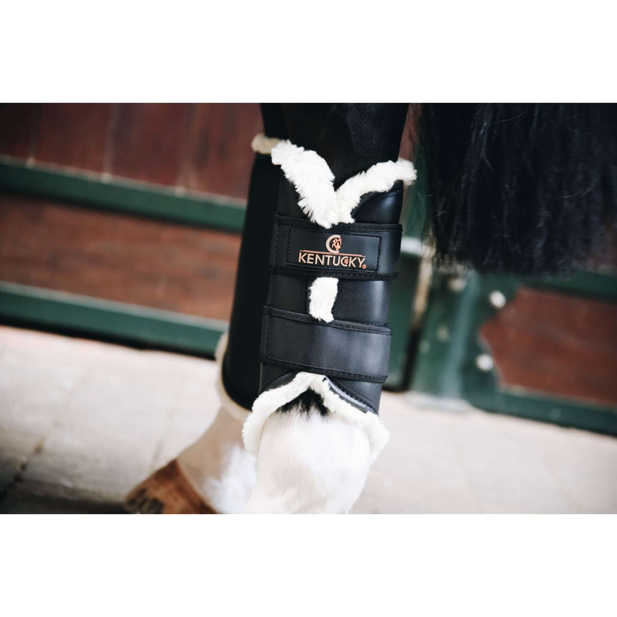 Kentucky Horsewear Turnout Boots Patas traseras Negro