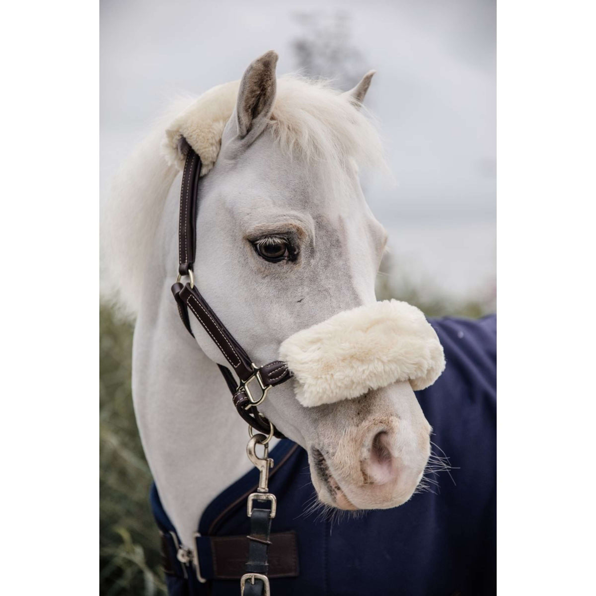 Kentucky Horsewear Cabezada de Cuero