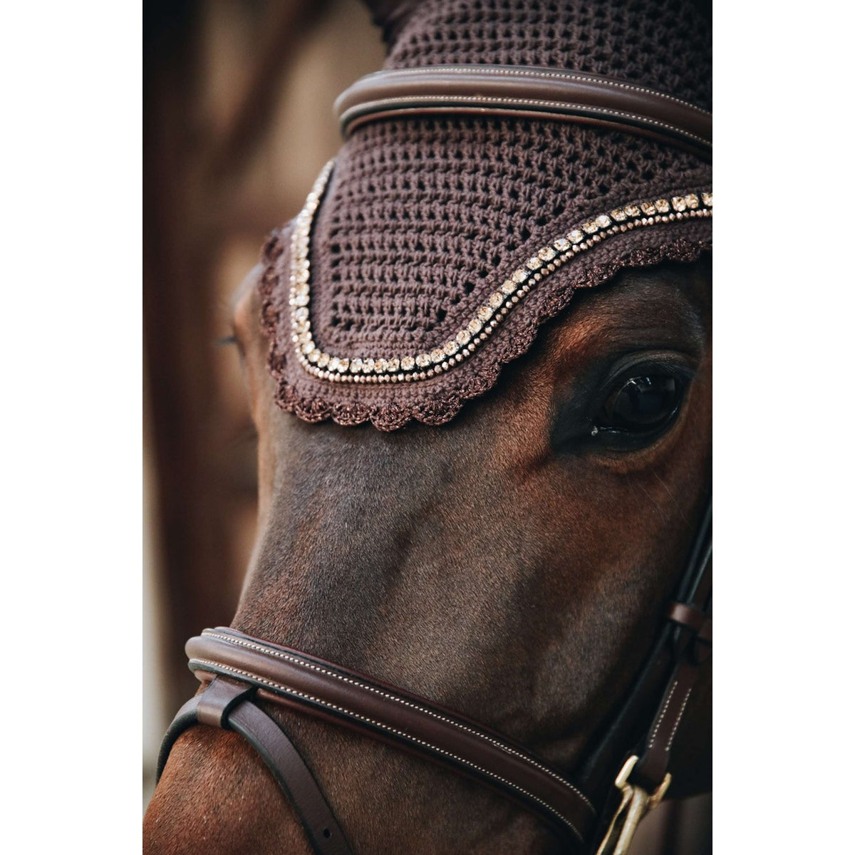 Kentucky Horsewear Cubre orejas Wellington Stone & Pearl Marron oscuro
