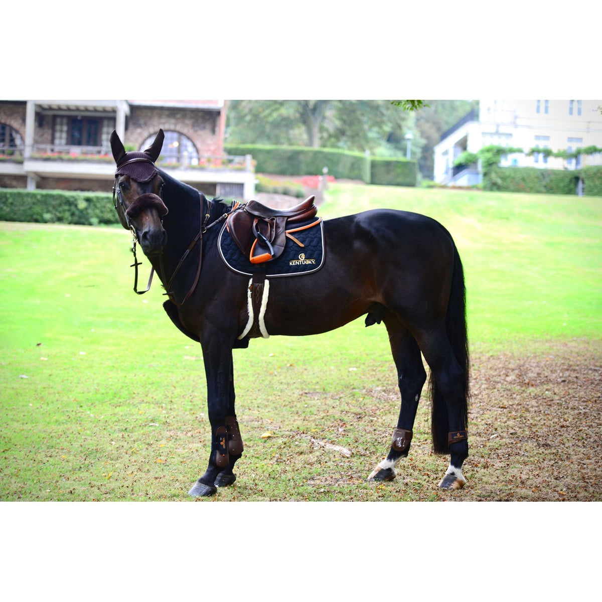 Kentucky Horsewear Cubierta de peto Sheepskin Marron