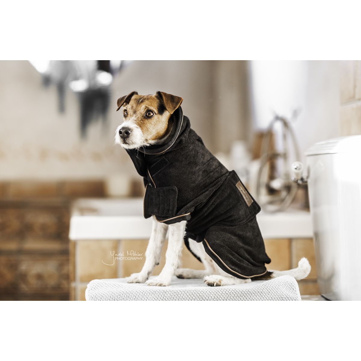 Kentucky Dogwear Dog Coat Negro