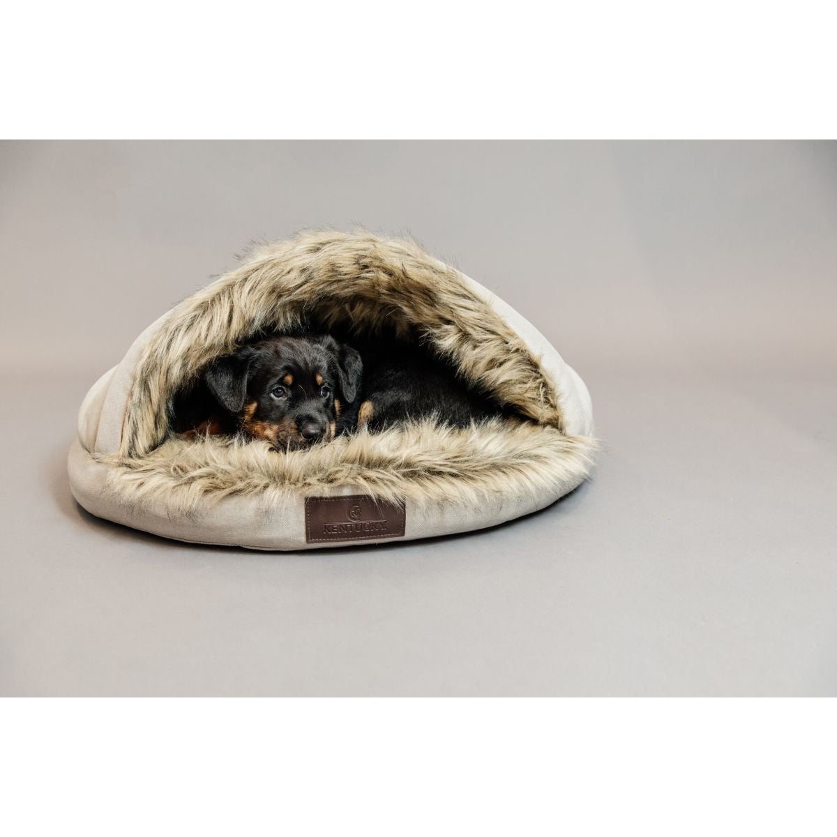 Kentucky Dogwear Iglú de cama para perros Beige