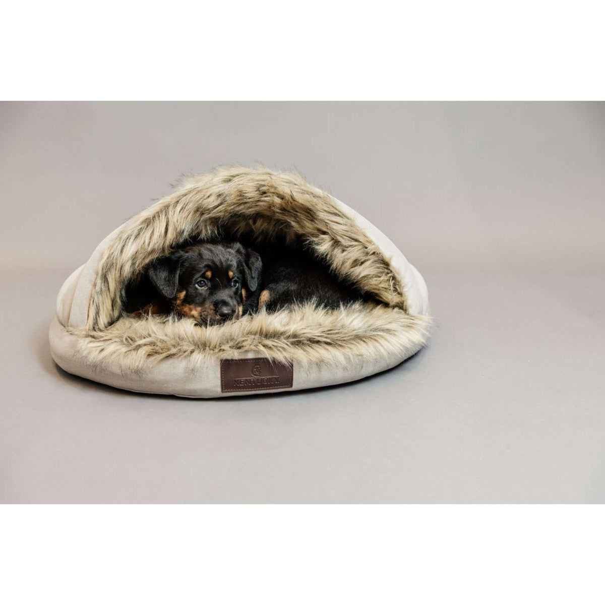 Kentucky Dogwear Iglú de cama para perros Beige