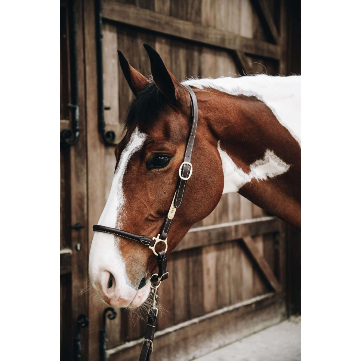 Kentucky Horsewear Cabezada
