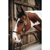 Kentucky Horsewear Cabezada