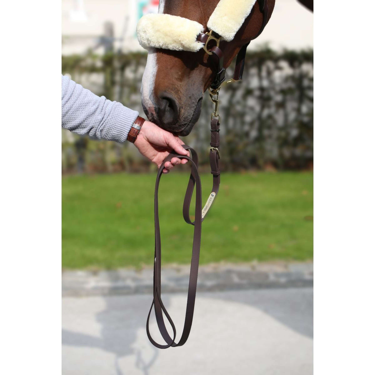 Kentucky Horsewear Cuerda de Cabestro Marron