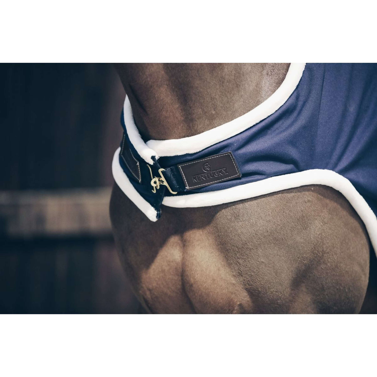 Kentucky Horsewear Manta para caminador Impermeable 160g Navy