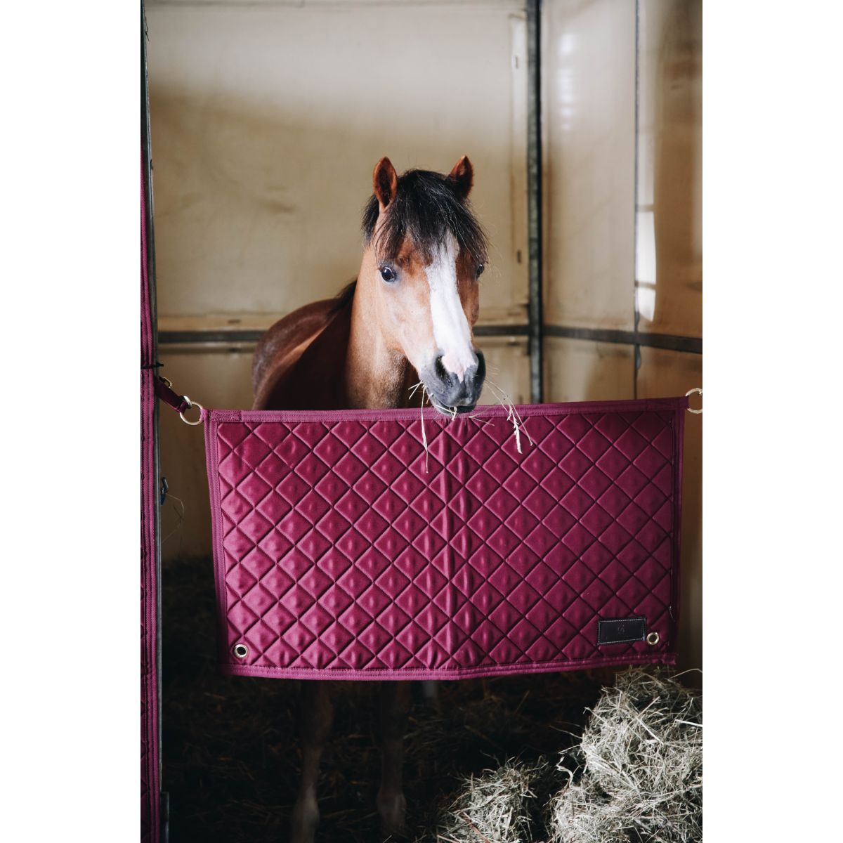 Kentucky Horsewear Stable Guard Bordeaux
