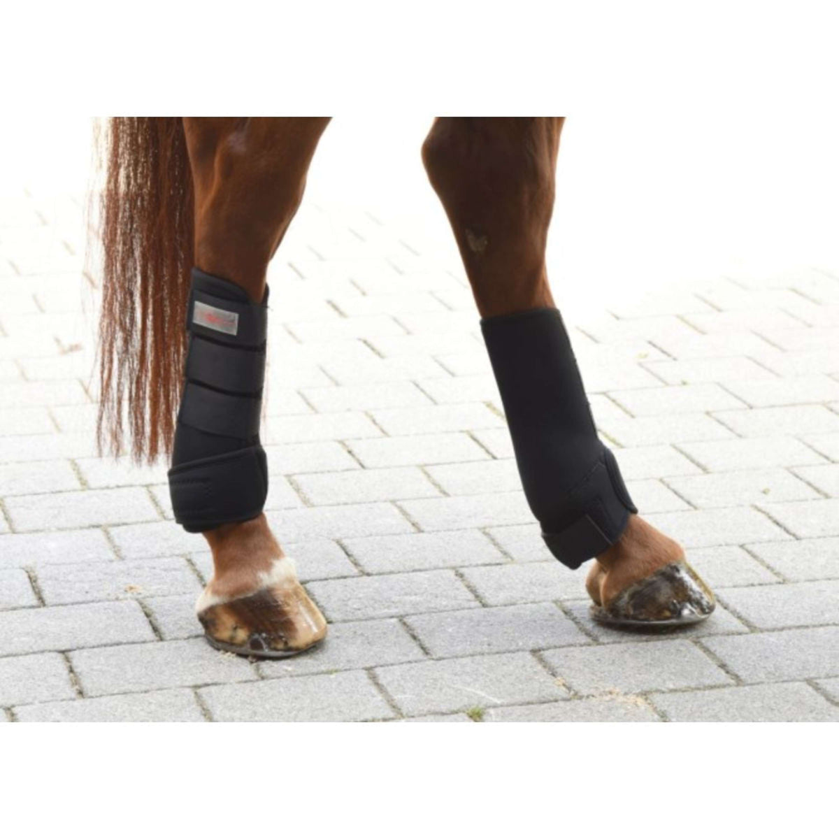 Kerbl Botas para Tendones Synthetisch Kautschuk 4er Set Negro