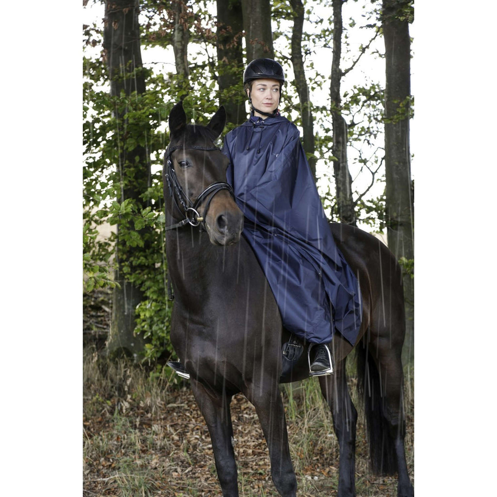 Covalliero Azul
