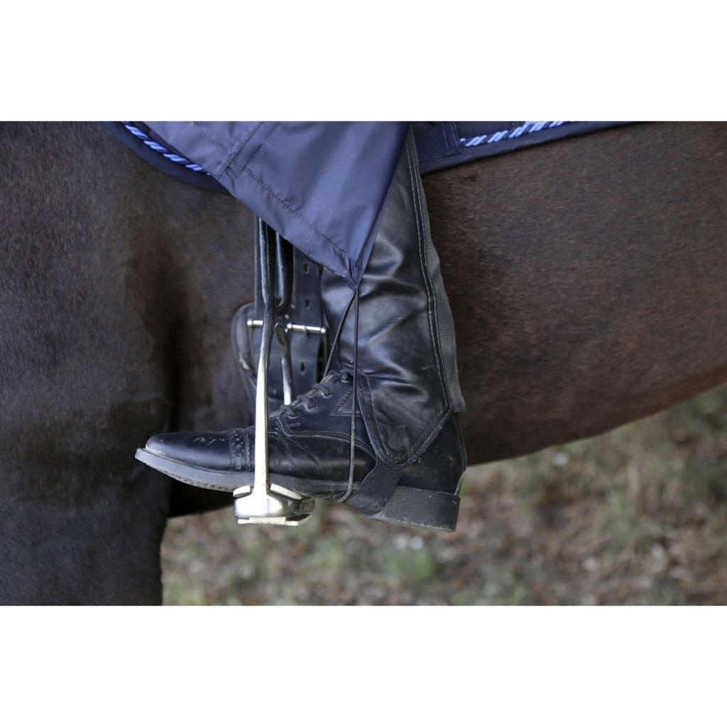 Covalliero Azul